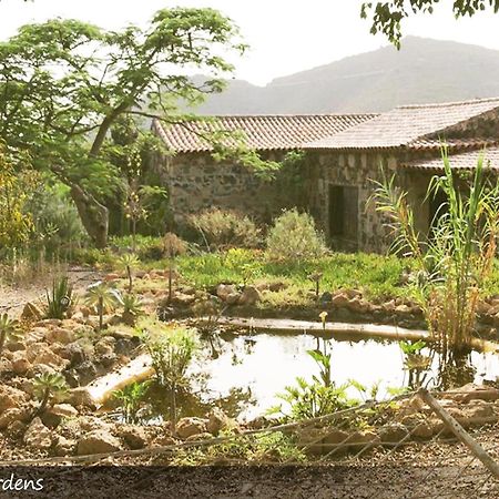 Live Finca San Miguel سان ميغيل ذي أبونا المظهر الخارجي الصورة