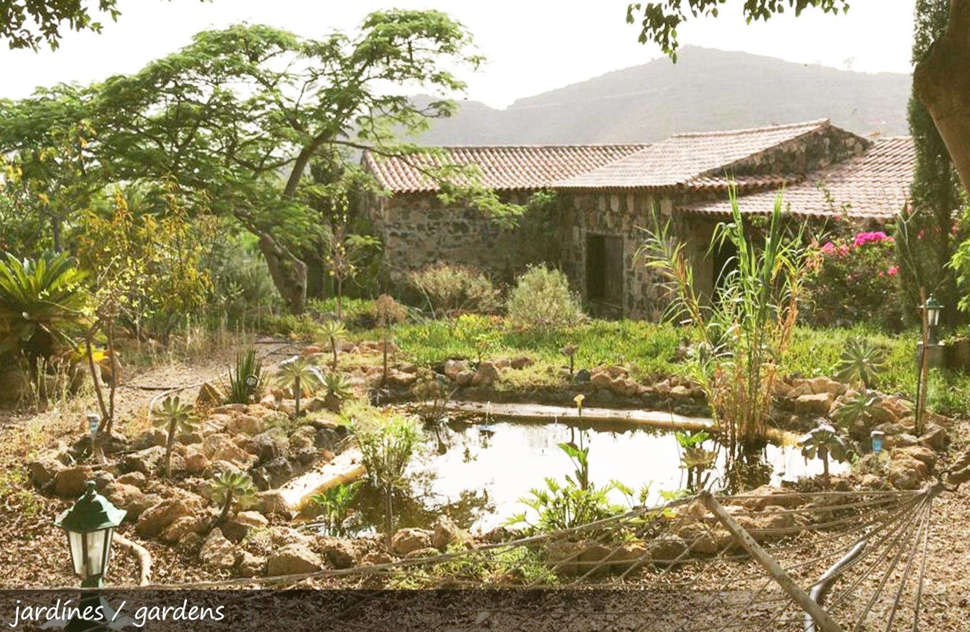 Live Finca San Miguel سان ميغيل ذي أبونا المظهر الخارجي الصورة